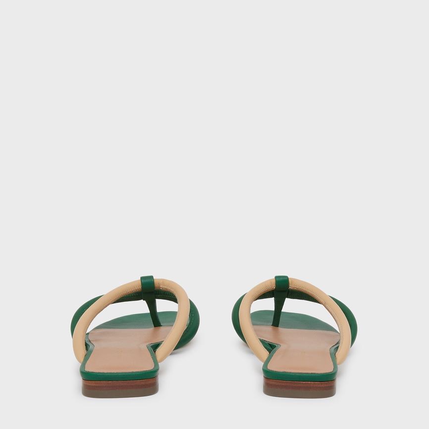 Japonki Damskie Mansur Gavriel Filo Zielone Beżowe | 598-EWPJGU